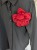 PXL_20260323_095024987.RAW-01.COVER.jpg