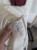 PXL_20260323_095123915.RAW-01.COVER.jpg