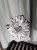 PXL_20260331_094005546.RAW-01.COVER.jpg